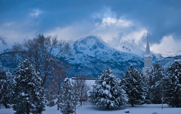 church thru snowy trees