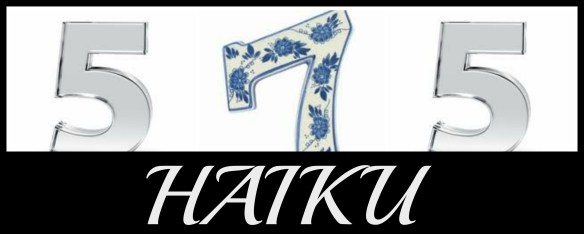 haikuvisual