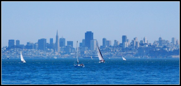 sailboatsSF2