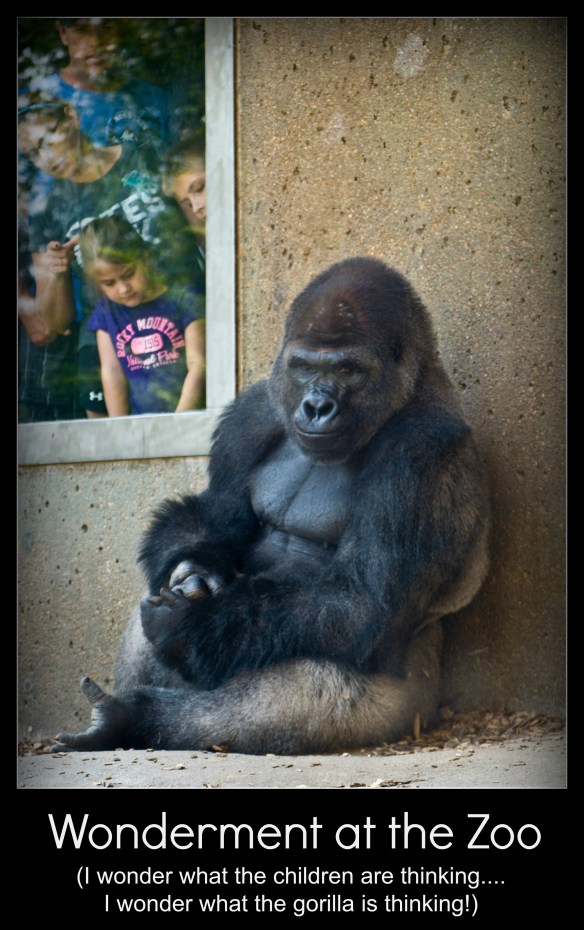 childrenlookingatgorilaframed