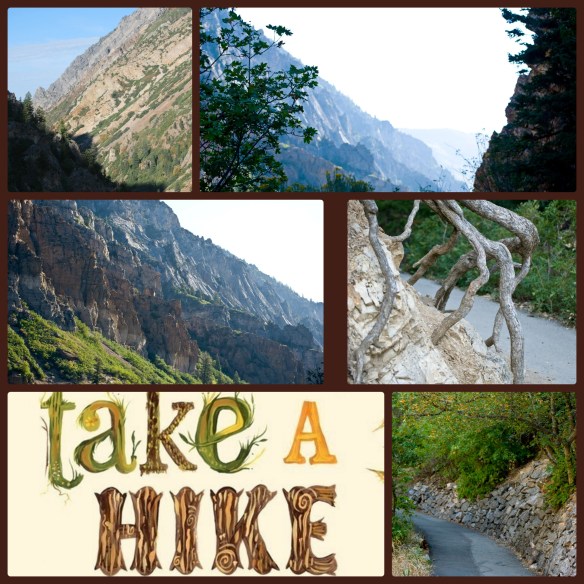 hikecollage