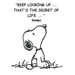 TAOLife-Snoopy-Keep-looking-up-thats-the-secret-of-life