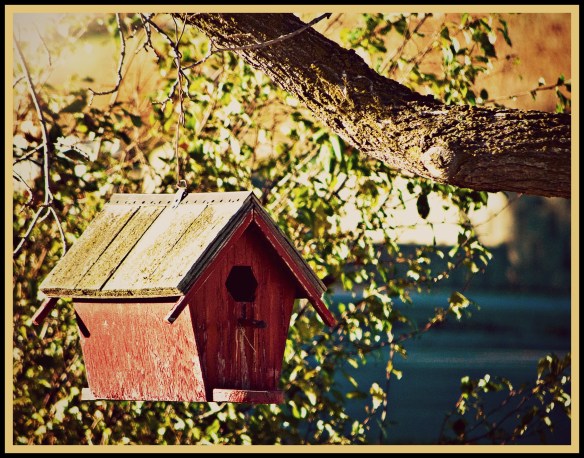 redbirdhouse