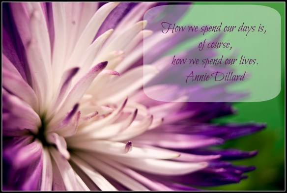 whiteandpurpleongreenwithquote