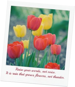 tulips2withquote