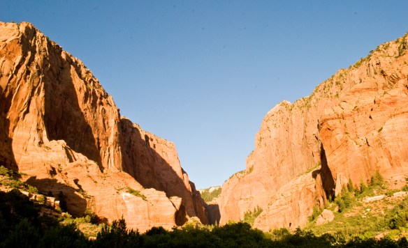 kolob2