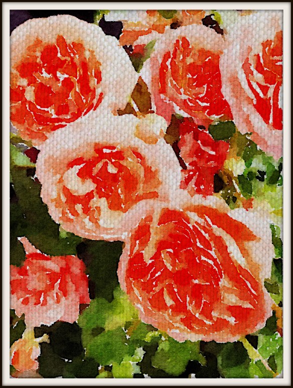 watercolorrosesoncanvas