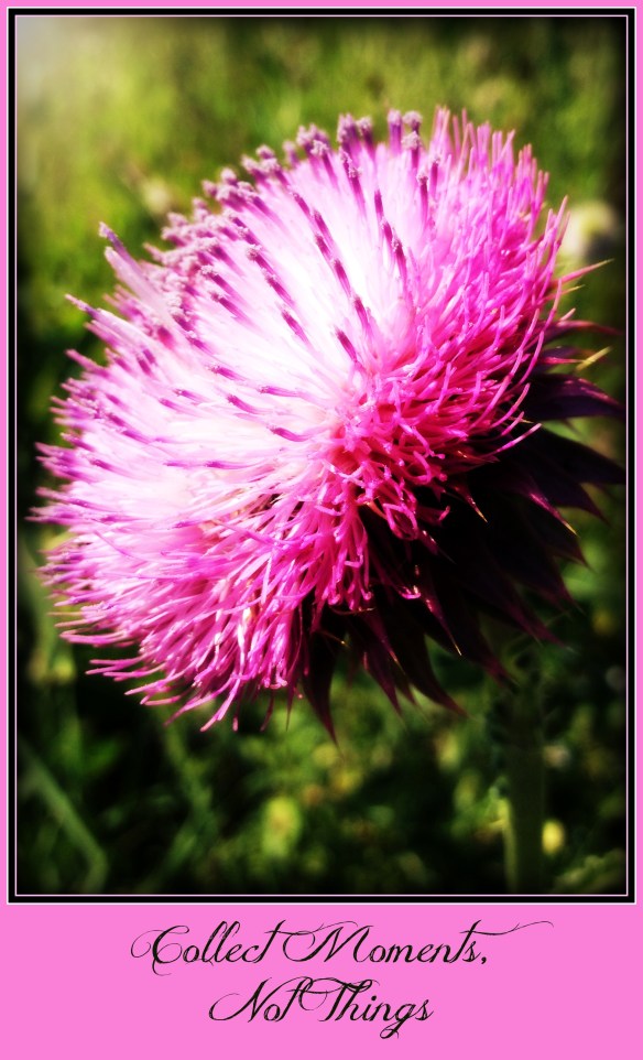 collectmomentsnotthings