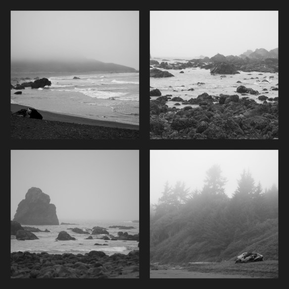 BWfoggybeach2