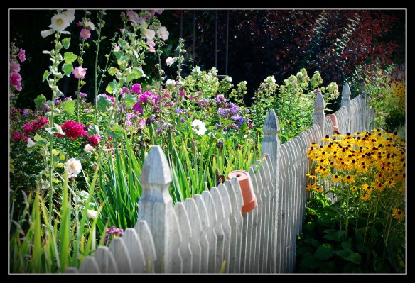 fenceandflowers
