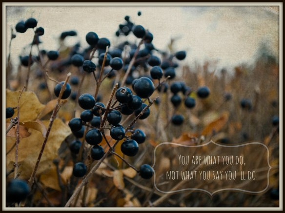 winterblackberries
