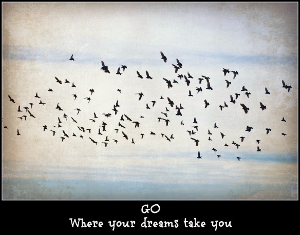 birdsdreamquote