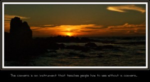 birdsinarowframedwquote