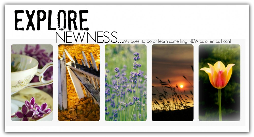 Explore Newness