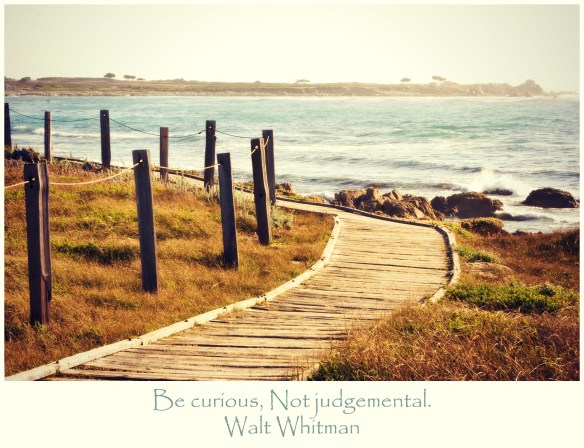 curiousnotjudgemental