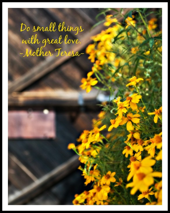 orangeflowersbyolddoorwquote