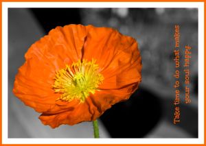 poppy copywithquote