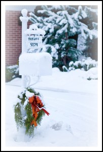 snowymailbox
