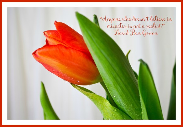 tulipquote