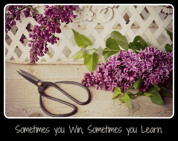 lilacandscissorsquote