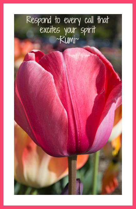 pinktulipquote