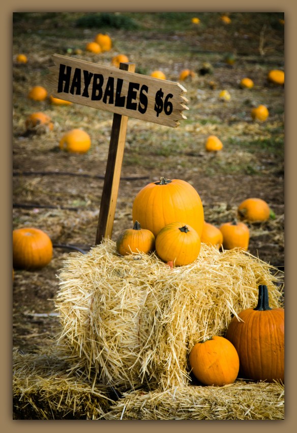 haybalessign