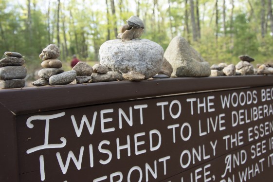 thoreausrockpilesign